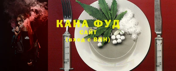 дурь Инта