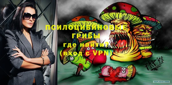 хмурый Инсар