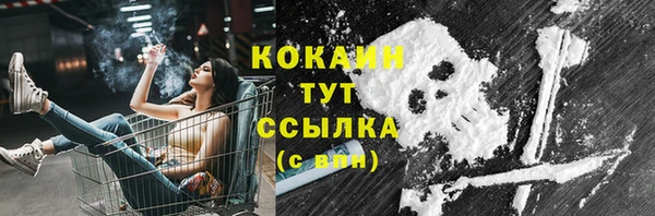 хмурый Инсар