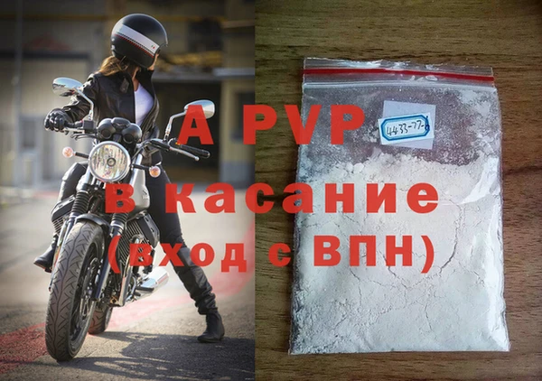 хмурый Инсар