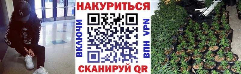 Конопля LSD WEED  Купить закладки  Звенигово 